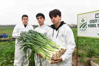 Osmangazi’de pırasa hasadıyla doğallık sofralara taşınıyor