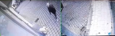 Bursa’da pazar arabası hırsızlığı