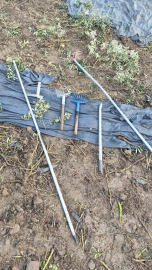 Zeytinleri dalından çaldılar