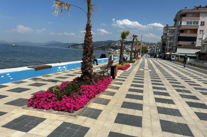 İşte Büyükşehir Belediyesi'nin 'Yeşil ve Mavi' 2025 karnesi