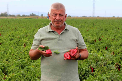 Çiftçilerden çağrı: "Üretim maliyetleri baskılanamaz hale geldi"