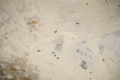 Yenişehir Belediyesi’nden YESAŞ’a hijyen cezası