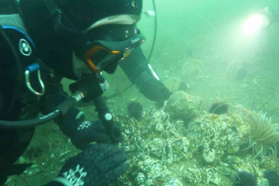 Marmara Denizi’ne kıyı kentlerin Belediye Başkanlarına dalış çağrısı