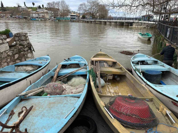 İstilacı İsrail sazanları balıkçılara gelir kaynağı oldu