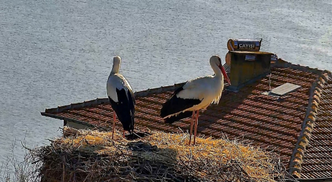 Beklenen buluşma gerçekleşti
