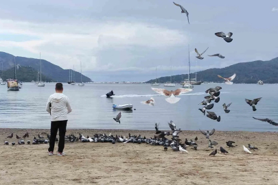 Marmaris’te güvercinler kışın boşalan sahili mesken tuttu
