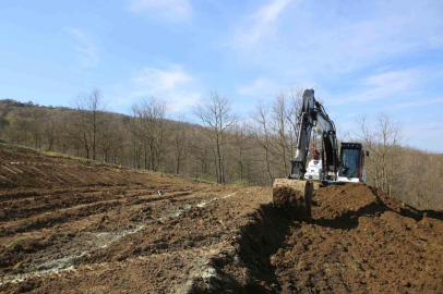Nilüfer’de atıl araziler bereketleniyor