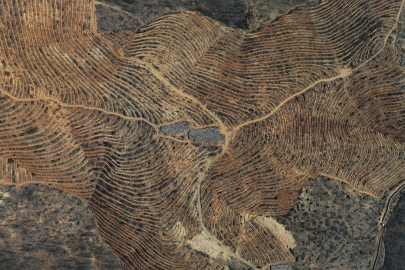 Bursa’da tarihin en büyük orman yangınında yaralar böyle sarıldı