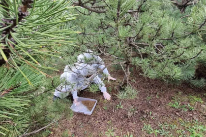 Doğanın sessiz kahramanları görev başında
