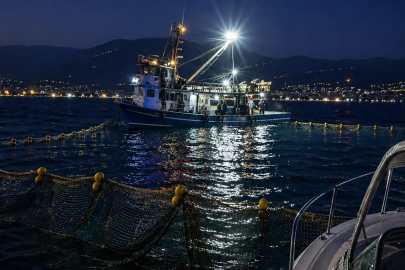 Gemlik Körfezi’nde sardalya avcılığı başladı