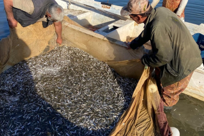 İznik Gölü’nde Gümüş balığı bereketi