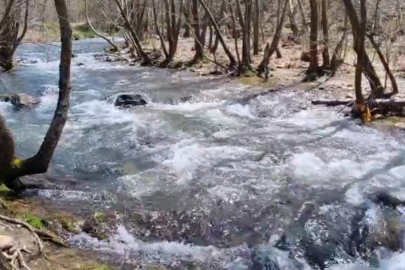 Son yağışlar Nilüfer Barajı’nı doldurdu, dereler coştu